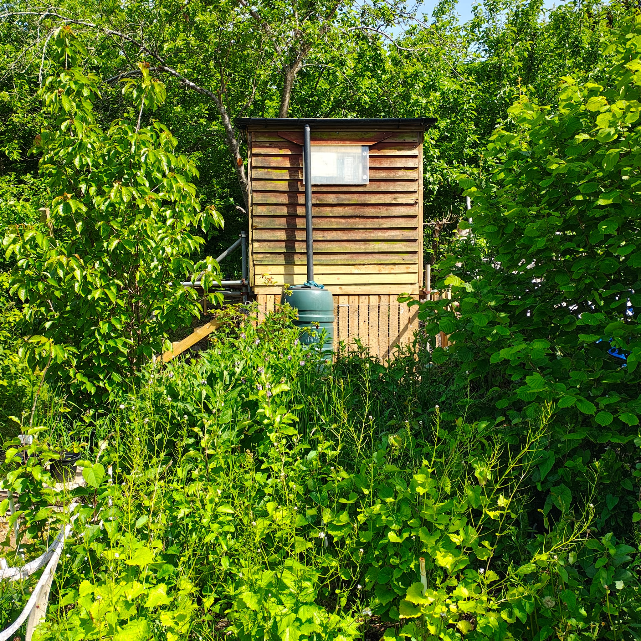 The finished compost loo among the orchard greenery