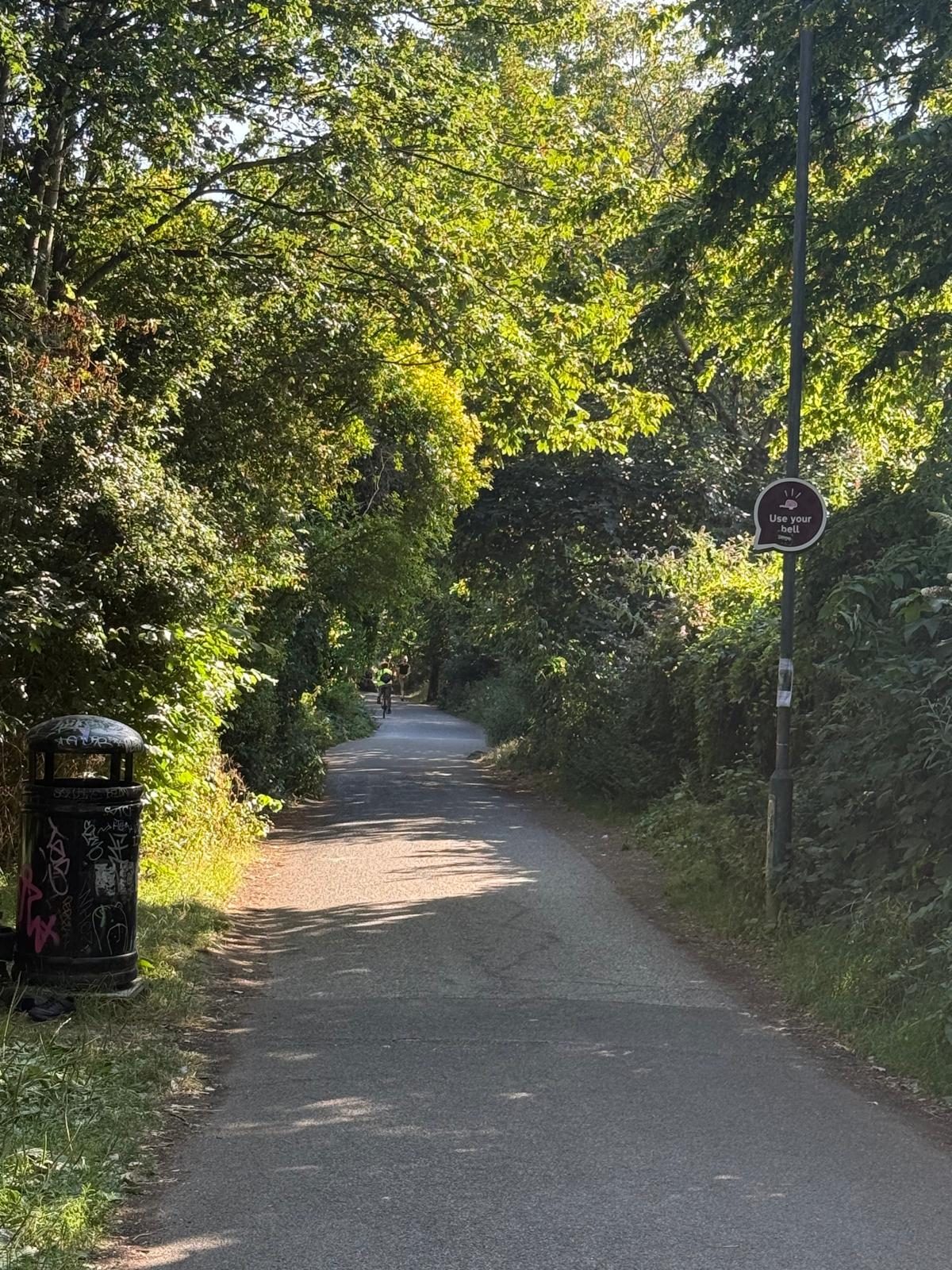 A railway footpath framed by trees on both sides beneath a wide blue sky.